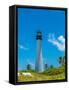 Lighthouse on the coast, Bill Baggs Cape Florida State Park, Key Biscayne, Miami-Dade County, Fl...-null-Framed Stretched Canvas
