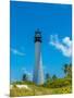 Lighthouse on the coast, Bill Baggs Cape Florida State Park, Key Biscayne, Miami-Dade County, Fl...-null-Mounted Photographic Print