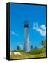 Lighthouse on the coast, Bill Baggs Cape Florida State Park, Key Biscayne, Miami-Dade County, Fl...-null-Framed Stretched Canvas