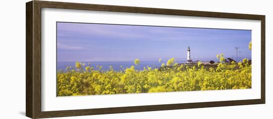 Lighthouse on the Coast, Pigeon Point Lighthouse, San Mateo County, California, USA-null-Framed Photographic Print