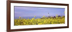 Lighthouse on the Coast, Pigeon Point Lighthouse, San Mateo County, California, USA-null-Framed Photographic Print