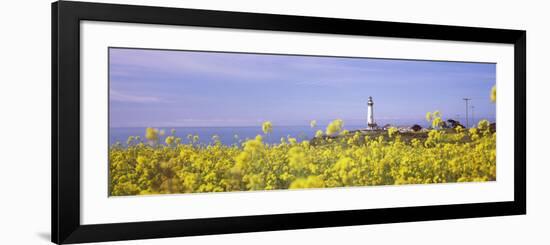 Lighthouse on the Coast, Pigeon Point Lighthouse, San Mateo County, California, USA-null-Framed Photographic Print