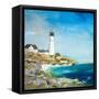 Lighthouse on the Rocky Shore I-Julie DeRice-Framed Stretched Canvas