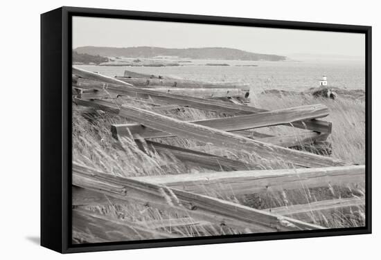 Lighthouse Path BW-Dana Styber-Framed Stretched Canvas