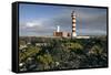 Lighthouse, Punta De La Ballena, Fuerteventura, Canary Islands-Peter Thompson-Framed Stretched Canvas