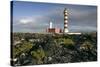 Lighthouse, Punta De La Ballena, Fuerteventura, Canary Islands-Peter Thompson-Stretched Canvas