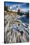 Lighthouse Reflection, Pemaquid Point, Maine-George Oze-Stretched Canvas