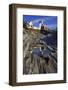 Lighthouse Reflection Pemaquid Point Maine-George Oze-Framed Photographic Print