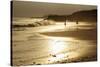 Lighthouse State Beach, Santa Cruz, California, United States of America, North America-Richard Cummins-Stretched Canvas