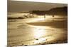 Lighthouse State Beach, Santa Cruz, California, United States of America, North America-Richard Cummins-Mounted Photographic Print