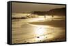 Lighthouse State Beach, Santa Cruz, California, United States of America, North America-Richard Cummins-Framed Stretched Canvas