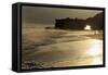 Lighthouse State Beach, Santa Cruz, California, United States of America, North America-Richard Cummins-Framed Stretched Canvas