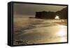 Lighthouse State Beach, Santa Cruz, California, United States of America, North America-Richard Cummins-Framed Stretched Canvas