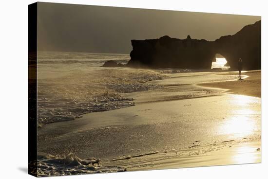 Lighthouse State Beach, Santa Cruz, California, United States of America, North America-Richard Cummins-Stretched Canvas