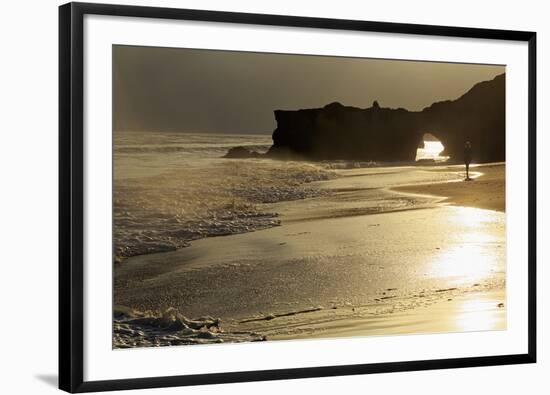 Lighthouse State Beach, Santa Cruz, California, United States of America, North America-Richard Cummins-Framed Photographic Print