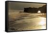 Lighthouse State Beach, Santa Cruz, California, United States of America, North America-Richard Cummins-Framed Stretched Canvas