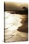 Lighthouse State Beach, Santa Cruz, California, United States of America, North America-Richard Cummins-Stretched Canvas
