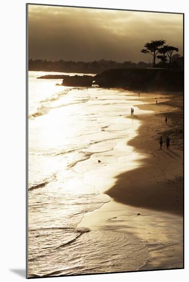 Lighthouse State Beach, Santa Cruz, California, United States of America, North America-Richard Cummins-Mounted Photographic Print