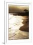 Lighthouse State Beach, Santa Cruz, California, United States of America, North America-Richard Cummins-Framed Photographic Print