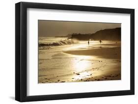 Lighthouse State Beach, Santa Cruz, California, United States of America, North America-Richard Cummins-Framed Photographic Print