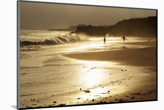 Lighthouse State Beach, Santa Cruz, California, United States of America, North America-Richard Cummins-Mounted Photographic Print