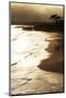 Lighthouse State Beach, Santa Cruz, California, United States of America, North America-Richard Cummins-Mounted Photographic Print