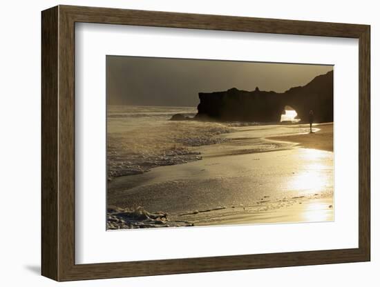 Lighthouse State Beach, Santa Cruz, California, United States of America, North America-Richard Cummins-Framed Photographic Print