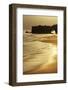 Lighthouse State Beach, Santa Cruz, California, United States of America, North America-Richard Cummins-Framed Photographic Print