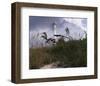 Lighthouse Terns I-Steve Hunziker-Framed Art Print