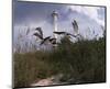 Lighthouse Terns I-Steve Hunziker-Mounted Art Print