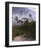 Lighthouse Terns II-Steve Hunziker-Framed Art Print