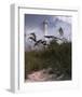 Lighthouse Terns II-Steve Hunziker-Framed Art Print