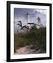 Lighthouse Terns II-Steve Hunziker-Framed Art Print