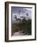 Lighthouse Terns II-Steve Hunziker-Framed Art Print