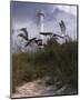 Lighthouse Terns II-Steve Hunziker-Mounted Art Print