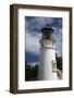 Lighthouse, Umpqua State Park, Oregon Coast, Oregon, USA-Michel Hersen-Framed Photographic Print