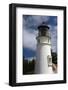 Lighthouse, Umpqua State Park, Oregon Coast, Oregon, USA-Michel Hersen-Framed Photographic Print