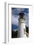 Lighthouse, Umpqua State Park, Oregon Coast, Oregon, USA-Michel Hersen-Framed Photographic Print