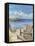 Lighthouse View I-Jay Throckmorton-Framed Stretched Canvas