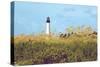 Lighthouse View-Gail Peck-Stretched Canvas