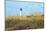 Lighthouse View-Gail Peck-Mounted Photographic Print