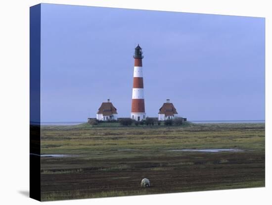 Lighthouse, Westerhever, Schleswig-Holstein, Germany-Thorsten Milse-Stretched Canvas