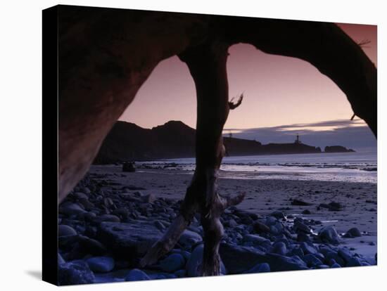 Lighthouse, Yaquina Head Beach, Oregon-Stuart Westmorland-Stretched Canvas