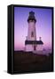 Lighthouse-null-Framed Stretched Canvas