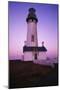 Lighthouse-null-Mounted Premium Photographic Print