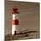 Lighthouse-null-Mounted Photographic Print