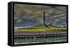 Lighthouse-Robert Kaler-Framed Stretched Canvas