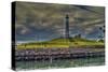 Lighthouse-Robert Kaler-Stretched Canvas