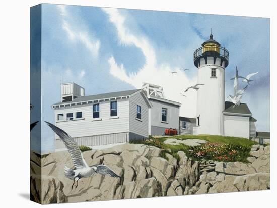 Lighthouse-William Vanderdasson-Stretched Canvas