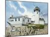 Lighthouse-William Vanderdasson-Mounted Giclee Print
